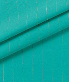 IMAGE_T