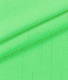 IMAGE_T