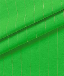 IMAGE_T