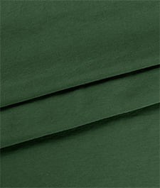 IMAGE_T
