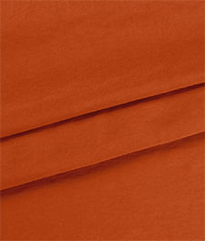 IMAGE_T