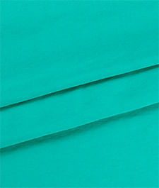 IMAGE_T