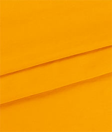IMAGE_T