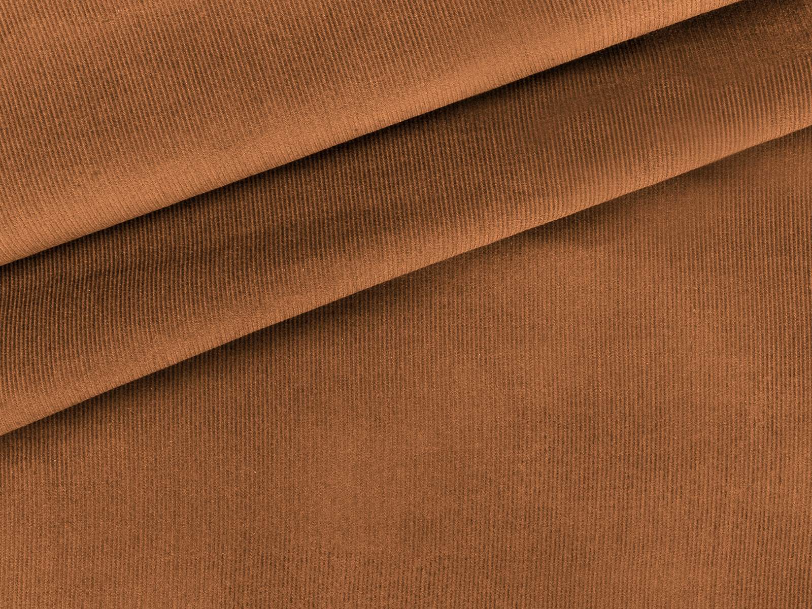 IMAGE_L