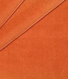 IMAGE_T