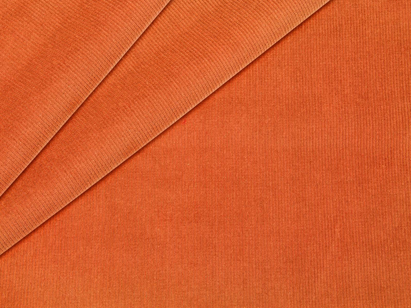 IMAGE_L