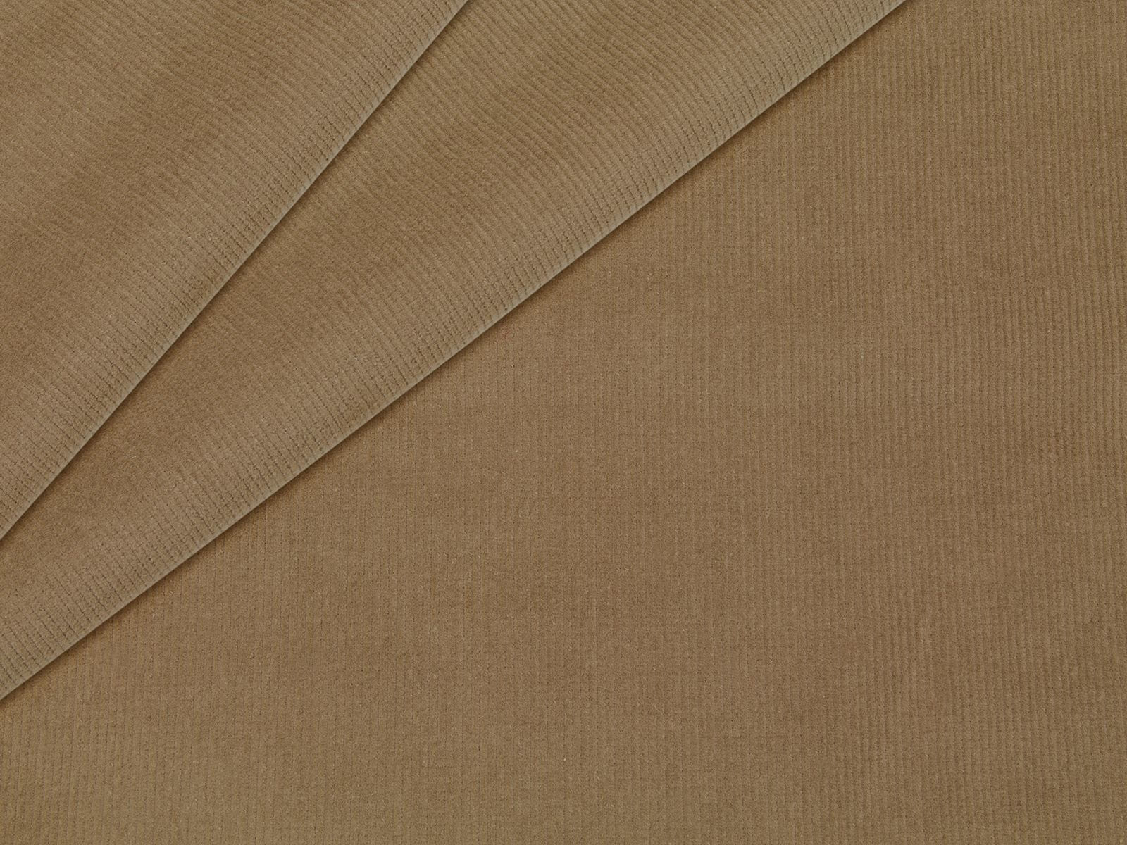 IMAGE_L