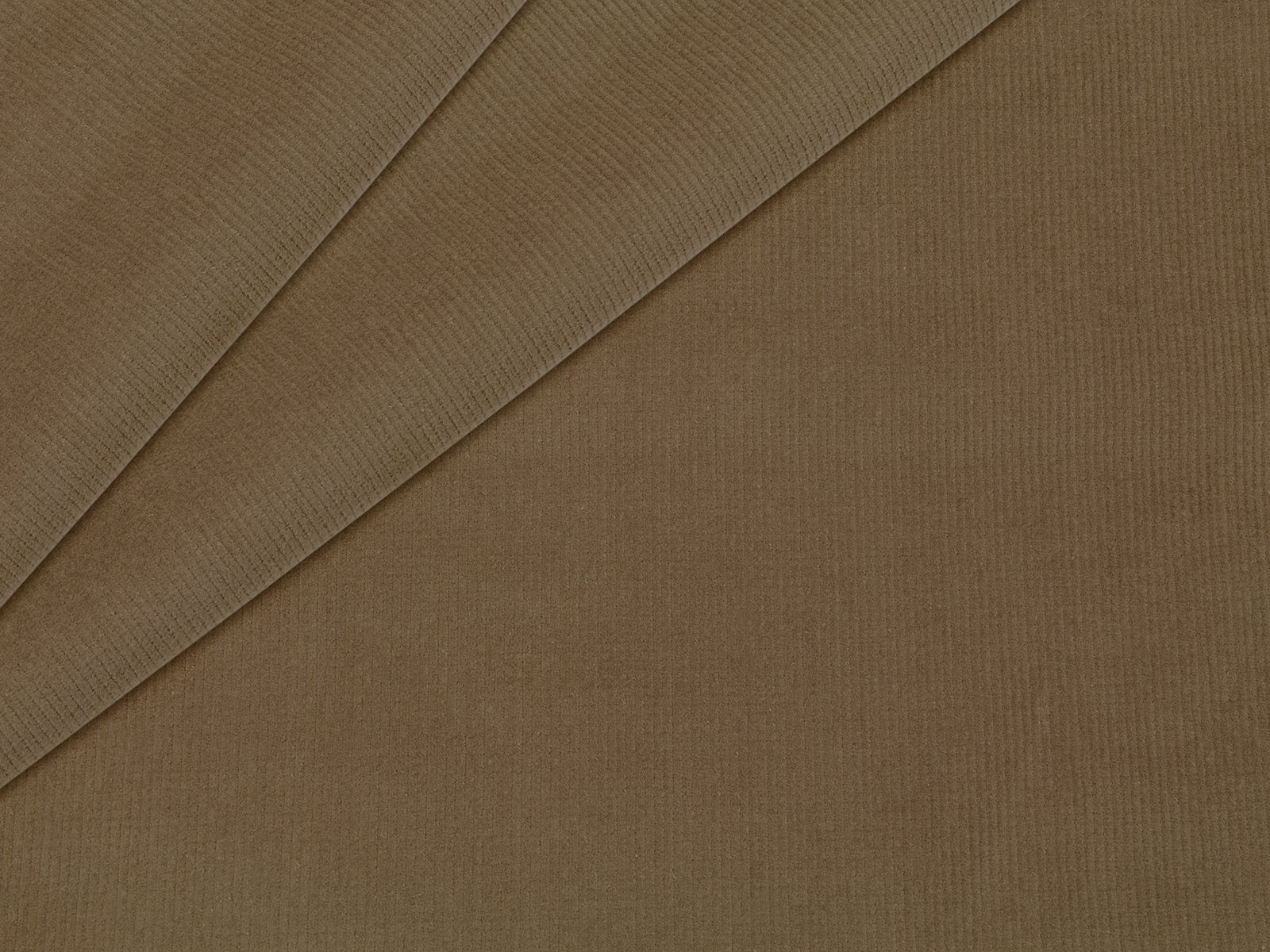 IMAGE_L