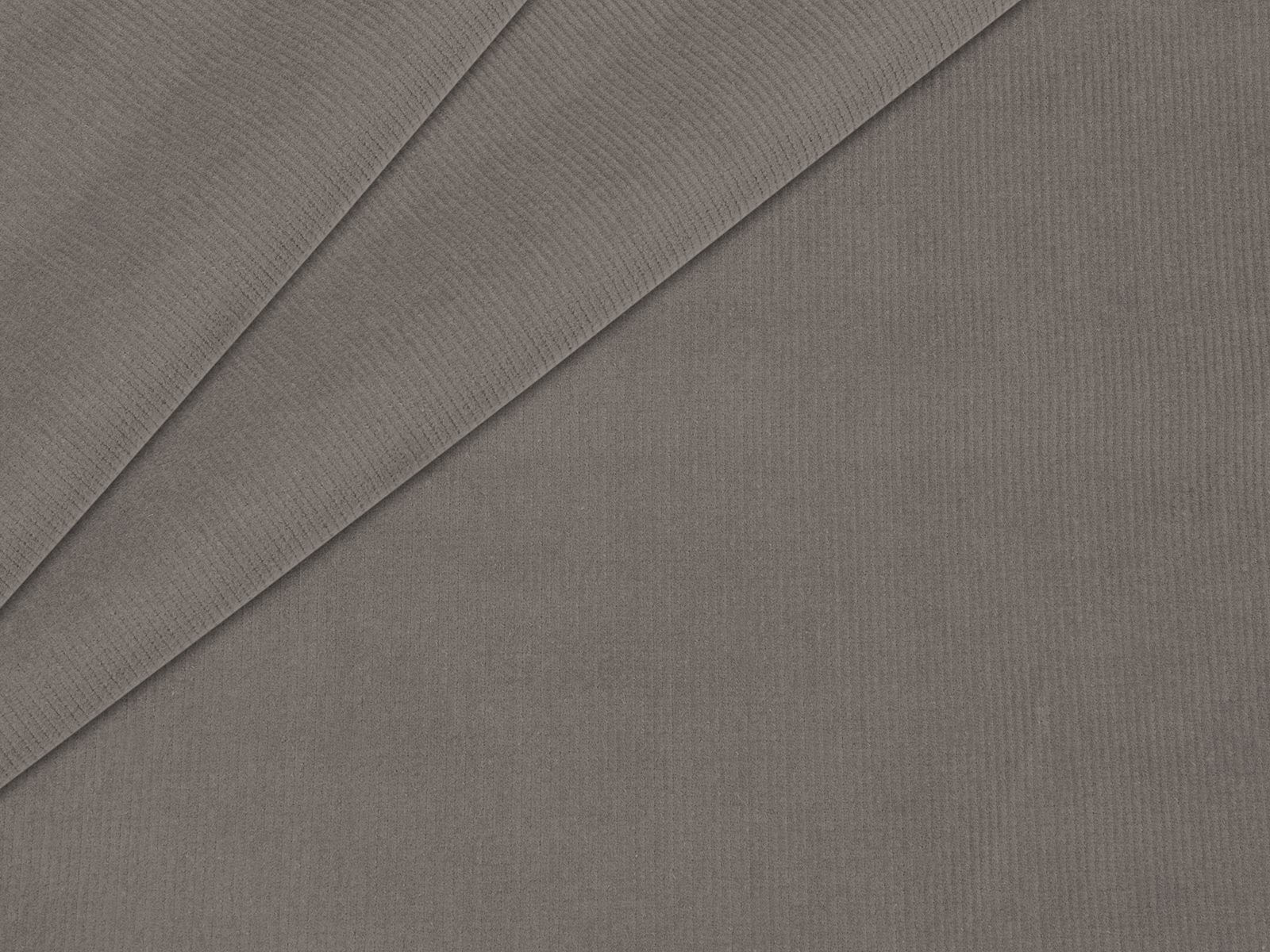 IMAGE_L