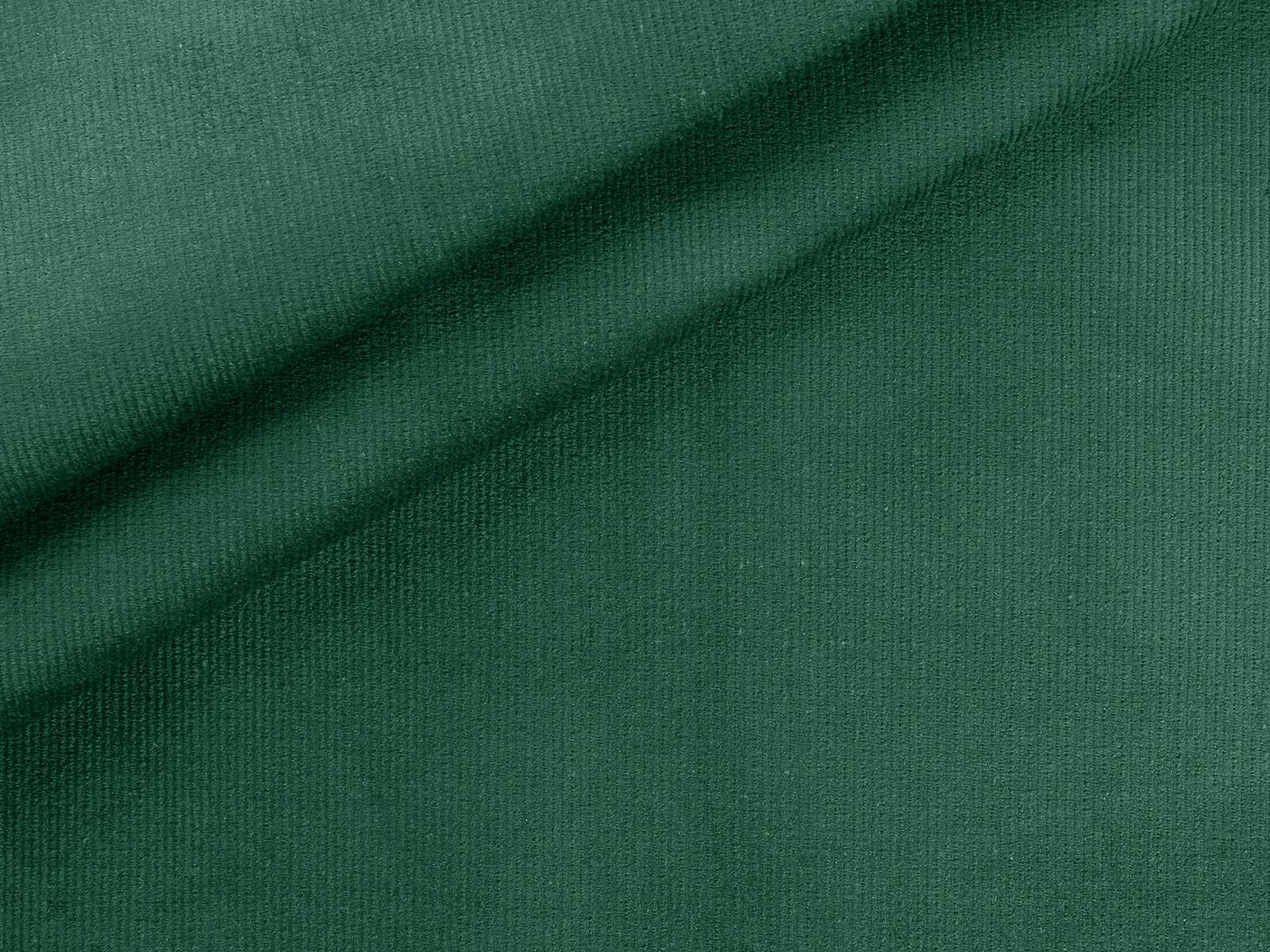 IMAGE_L