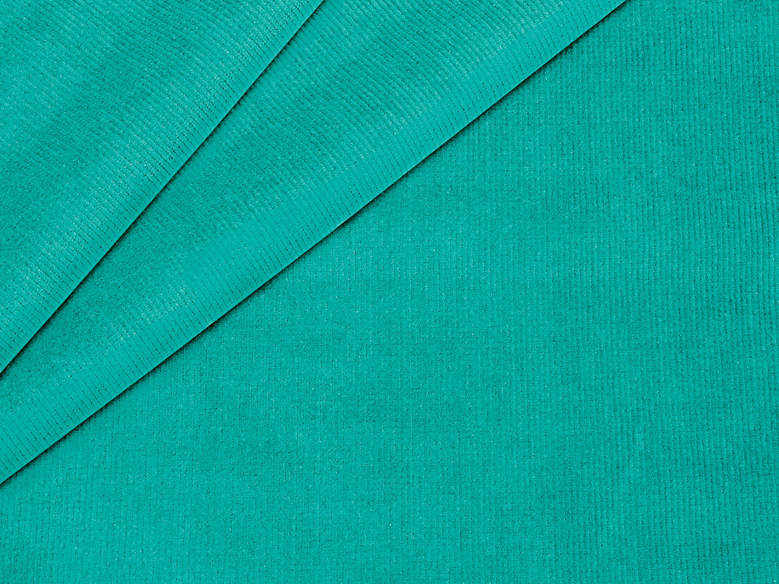 IMAGE_L