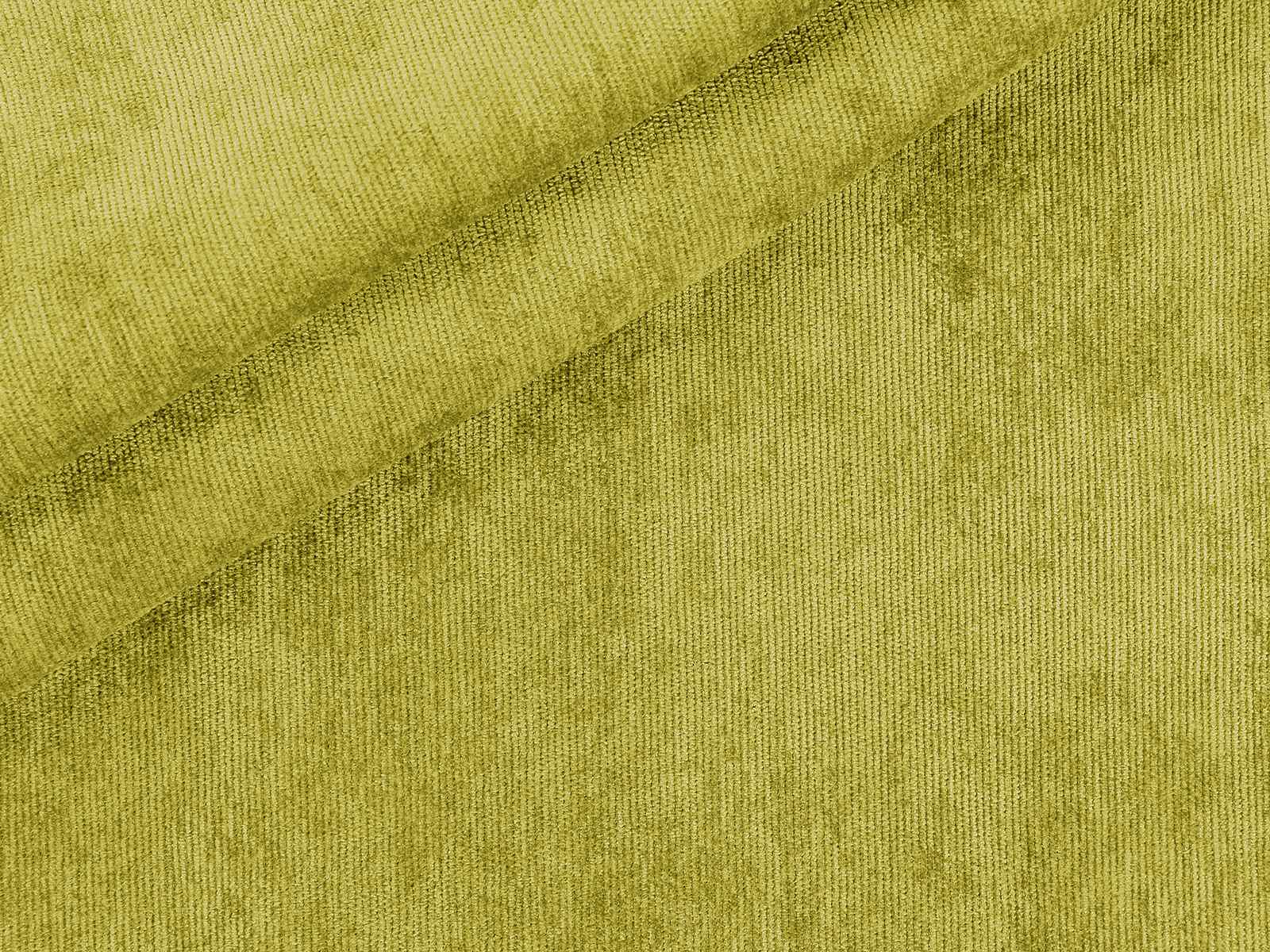 IMAGE_L