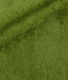 IMAGE_T