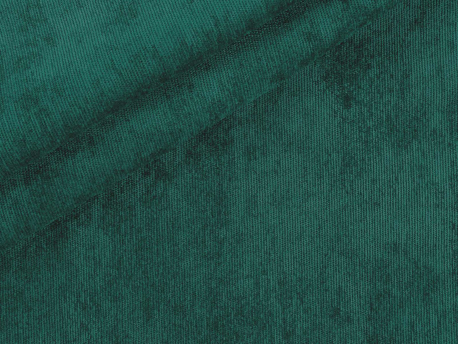 IMAGE_L