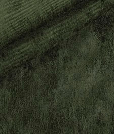 IMAGE_T