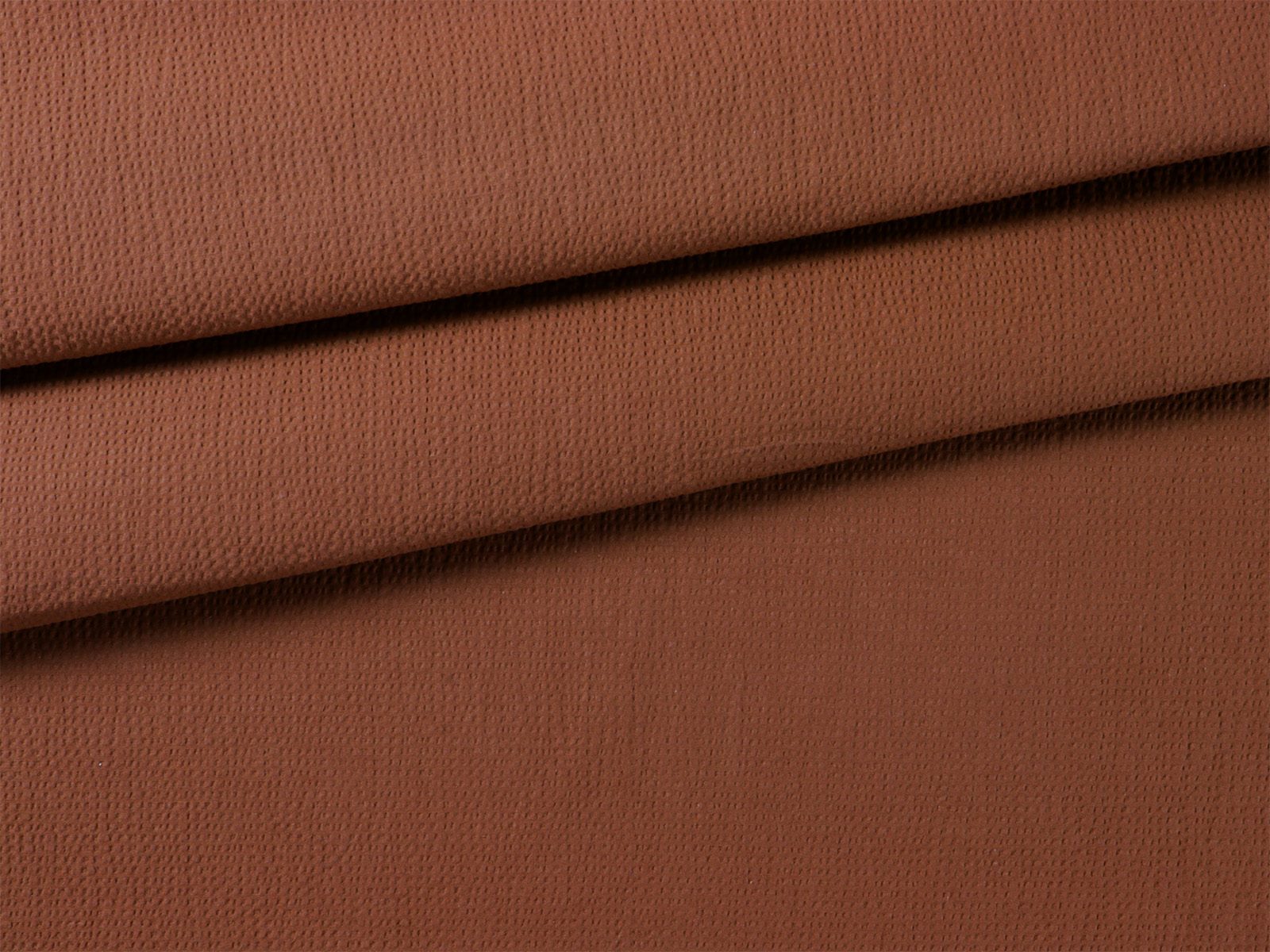IMAGE_L
