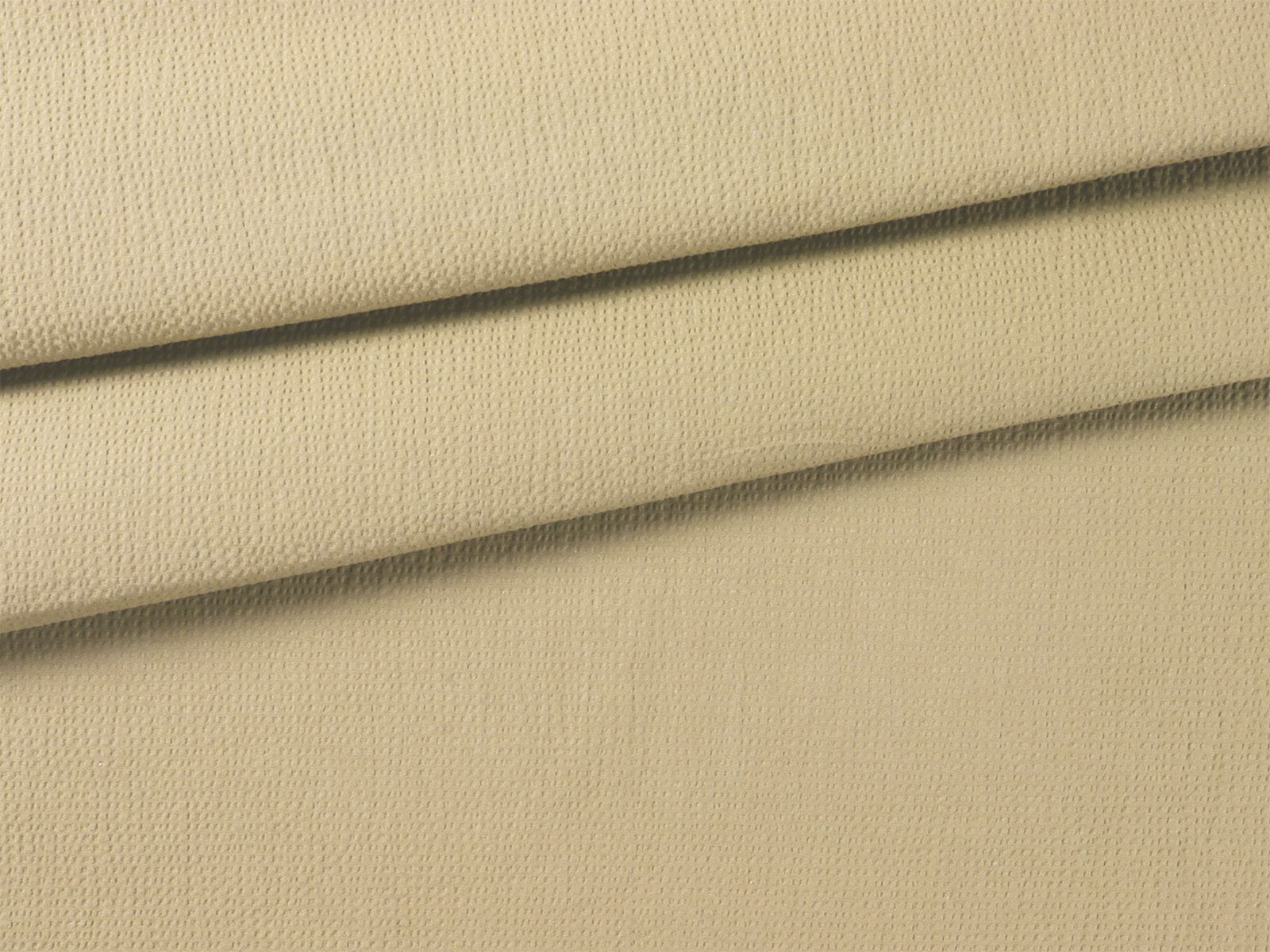 IMAGE_L