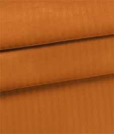 IMAGE_T