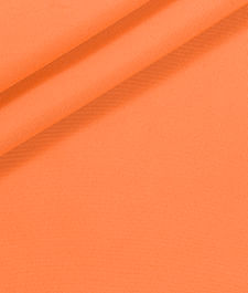 IMAGE_T