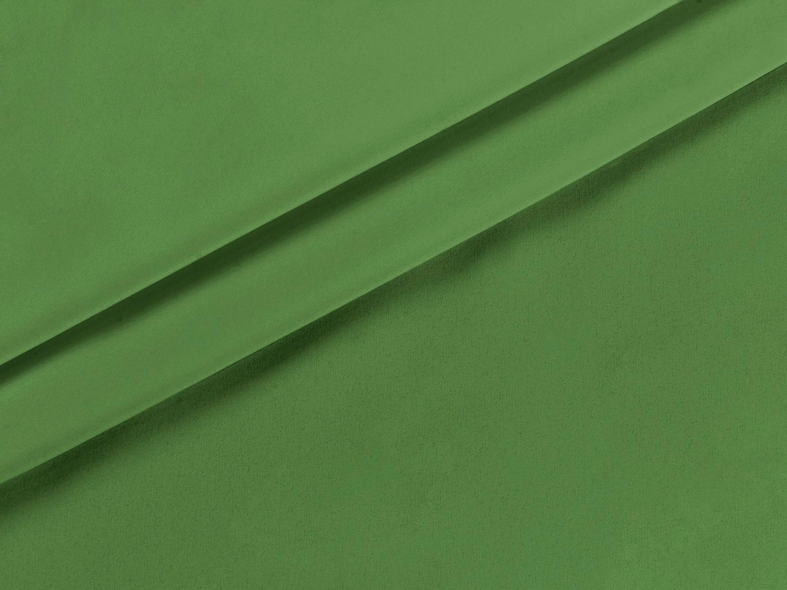 IMAGE_L