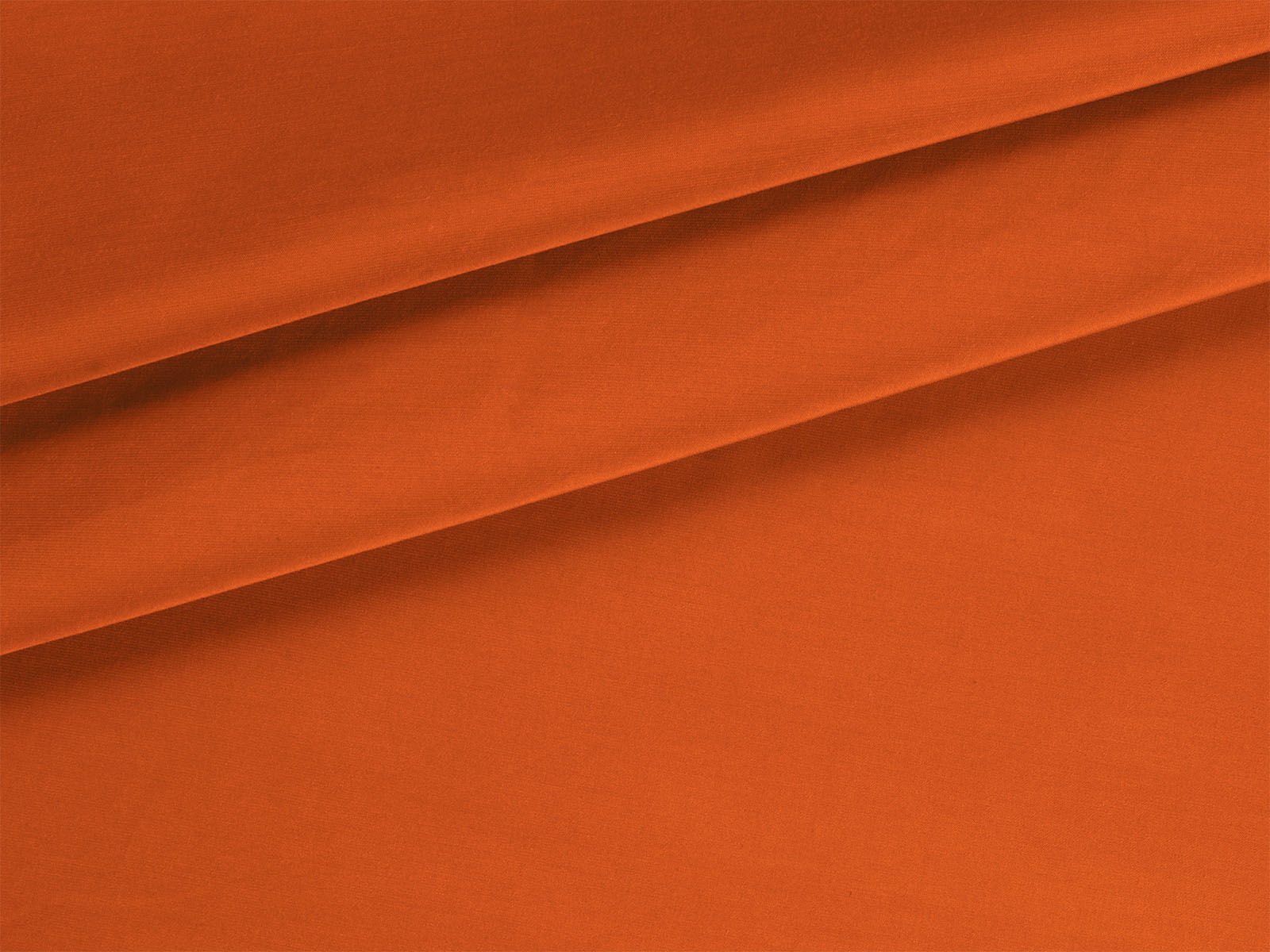 IMAGE_L