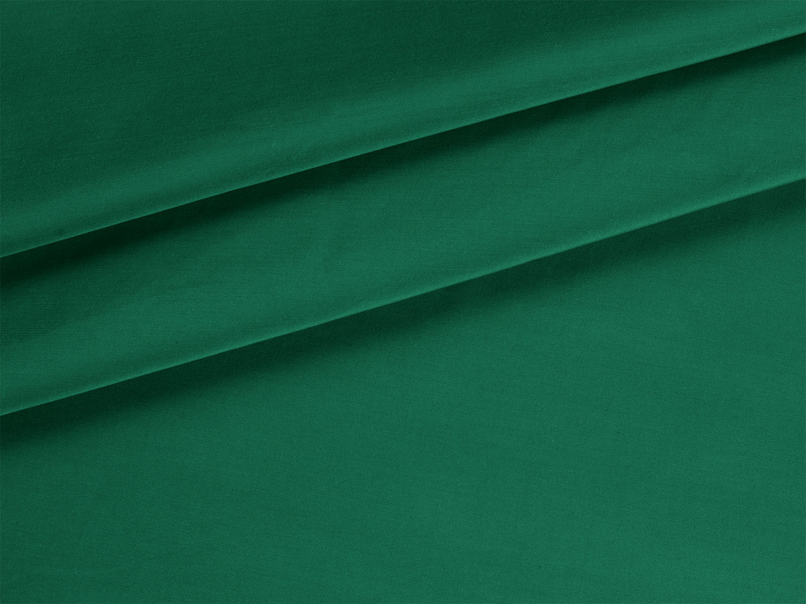 IMAGE_L
