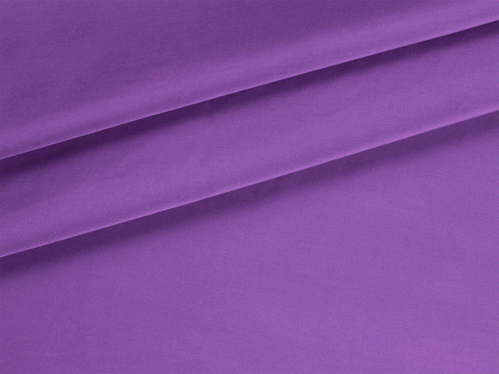 IMAGE_L