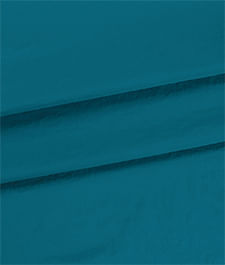 IMAGE_T