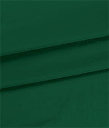 IMAGE_T