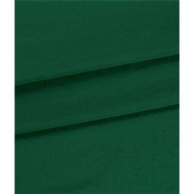 IMAGE_T