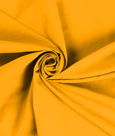 IMAGE_T