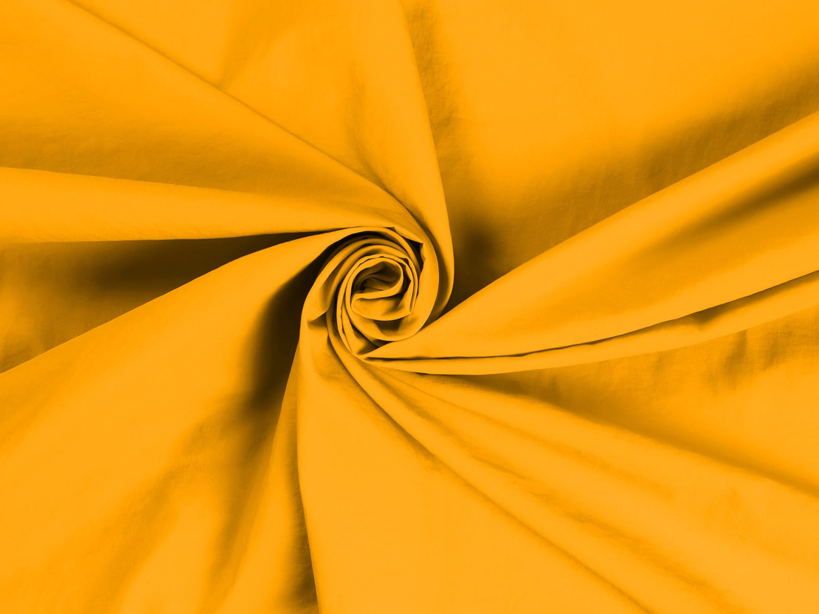 IMAGE_L