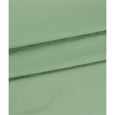 IMAGE_T