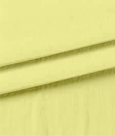 IMAGE_T