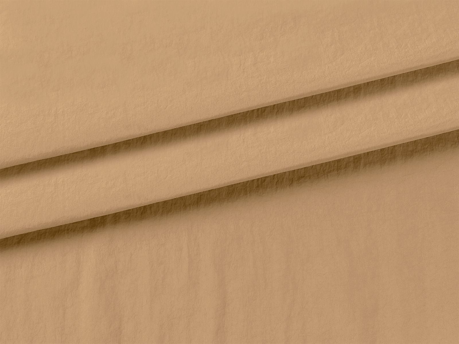 IMAGE_L