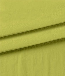 IMAGE_T