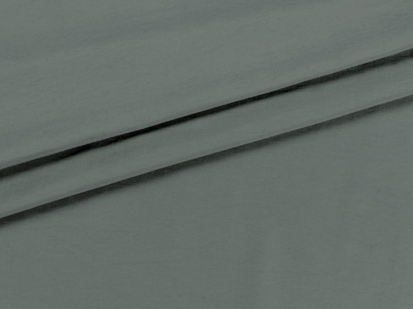 IMAGE_L