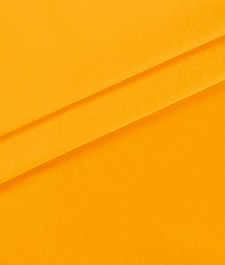 IMAGE_T