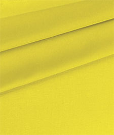 IMAGE_T