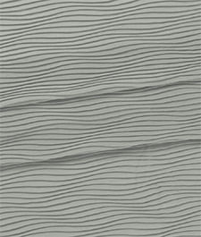 IMAGE_T
