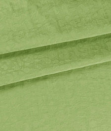 IMAGE_T