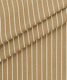 IMAGE_T