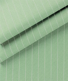 IMAGE_T