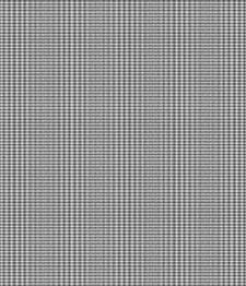 IMAGE_T