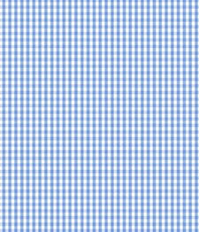 IMAGE_T