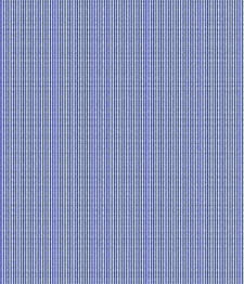 IMAGE_T