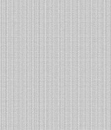 IMAGE_T