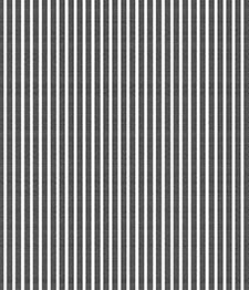 IMAGE_T