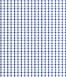 IMAGE_T