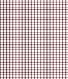 IMAGE_T